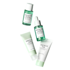 SKIN1004 Madagascar Centella Tea-Trica Travel Kit